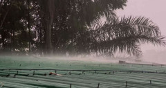রাঙামাটিতে বৃষ্টি, বজ্রপাতে ৩ জনের মৃত্যু
