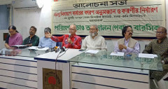 এডিস মশা নিধনে বিকল্প পদ্ধতি ভাবার পরামর্শ