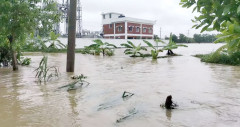 ভারতের পানিতে ভয়াবহ বন্যা, তলিয়েছে ফেনী-কুমিল্লা অঞ্চল