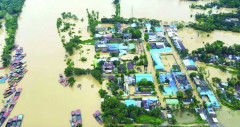 বন্যায় সাপের কামড়ে হাসপাতালে শতাধিক রোগী