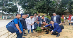 চ্যারিটি প্রোগ্রাম ও বৃক্ষরোপন কর্মসূচি সিওমেকের ইন্টার্ন চিকিৎসকদের