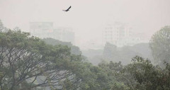 রাজধানীতে বেড়েছে শীত