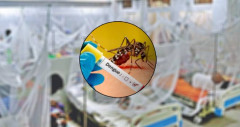 ডেঙ্গুতে একজনের মৃত্যু, হাসপাতালে ভর্তি ১৬