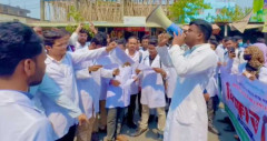 দাবি আদায়ে সনদ পোড়ালেন মেডিকেল শিক্ষার্থী ও চিকিৎসকেরা