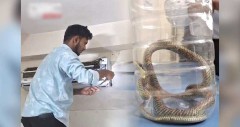 ক্লিনিকের এসি খুলতেই দেখা মিলল চার ফুটের কালনাগিনী সাপ