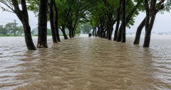কুশিয়ারা নদীর পানি বৃদ্ধি: সিলেট-সুনামগঞ্জের বন্যা পরিস্থিতি অবনতির শঙ্কা