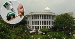 টুথপেস্টে মাইক্রোপ্লাস্টিক: ২৬ ব্র্যান্ডের অভিযোগে তদন্ত চেয়ে হাইকোর্টে রিট