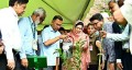 অর্জুন ও নিম গাছের চারা রোপণ করে ড্যাবের প্রতিষ্ঠাবার্ষিকী উদ্বোধন প্রধানমন্ত্রীর 