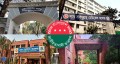 রাজধানীর চার মেডিকেল-ডেন্টাল কলেজে ছাত্রদলের নতুন কমিটি