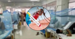 ডেঙ্গুতে আরও ২ জনের মৃত্যু, নতুন করে হাসপাতালে ৯৯৬