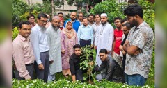 সলিমুল্লাহ মেডিকেল কলেজে ছাত্রদলের বৃক্ষরোপণ কর্মসূচি