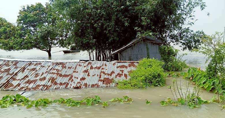 চাঁপাইনবাবগঞ্জে পদ্মা নদীতে পানি বাড়ায় নিম্নাঞ্চল প্লাবিত, কুষ্টিয়ায় পানিবন্দি ৫০ হাজার মানুষ