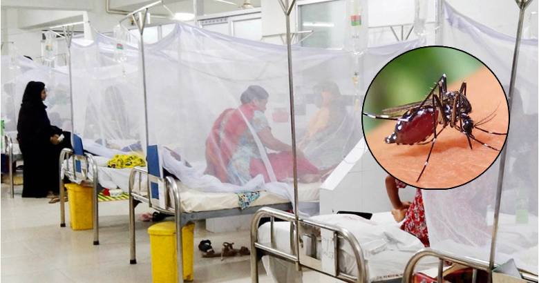 ২৪ ঘণ্টায় ডেঙ্গু আক্রান্ত আরও ১৫ জন হাসপাতালে ভর্তি