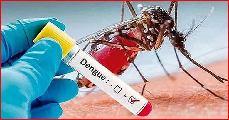 ডেঙ্গুতে তিনজনের মৃত্যু, হাসপাতালে ভর্তি ৪০৯