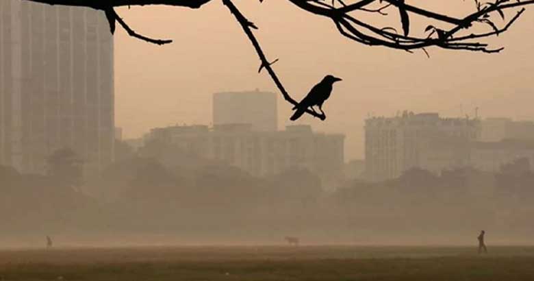 মৃদু শৈত্যপ্রবাহ ও বৃষ্টি নিয়ে যা বলছে আবহাওয়া অফিস