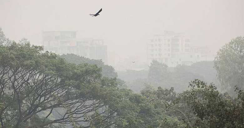 রাজধানীতে বেড়েছে শীত
